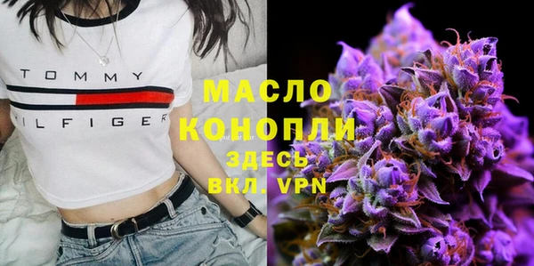 бошки Бронницы