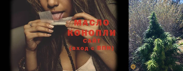 ECSTASY Бородино